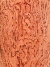 Macro Photo Of Red Wood Cross Section Wood Grain Texture Backgro
