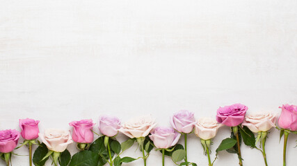 Wall Mural - Flowers valentine day composition. Frame made of pink rose on gray background. Flat lay, top view, copy space.