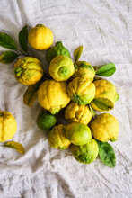 Harvested Lemons On Linen