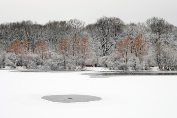 Wall Mural - A frozen forest after a snowfall in winter on an iced pond. Hole in the ice.