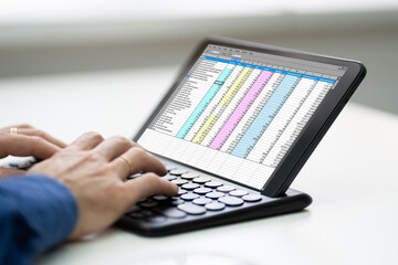 Poster - Working With Digital Software Spreadsheet Report