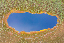 Aerial Top Down View Of Dark Blue Swamp Lake In The Green Forest With Footbridge Around (Kalnansu Purvs)