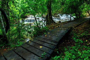 Aufkleber - Wooden walkway and waterfall in forest