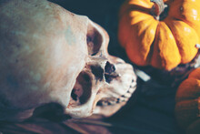 Close-up Of Human Skull And Pumpkin On Table