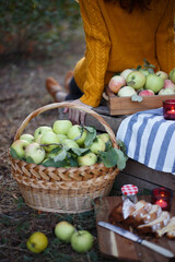 Wall Mural - girl holds  basket  with juicy apples in the garden