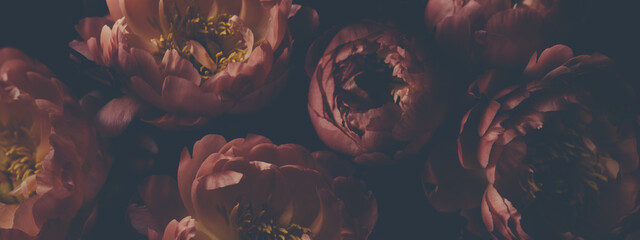Wall Mural - dark vintage photo of bouquet of red peonies on black. floristic decoration. floral background. baro