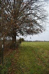 Sticker - Path in a Field