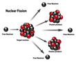 Nuclear energy diagram of nuclear fission reaction. Free neutron, target nucleus, fission product, chain releasing energy.