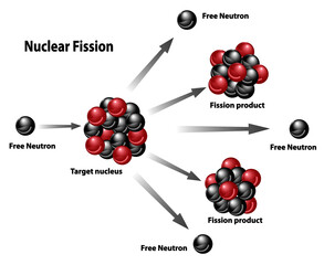 Wall Mural - Nuclear energy diagram of nuclear fission reaction. Free neutron, target nucleus, fission product, chain releasing energy.