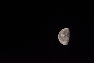 moon in the night
