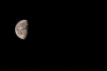 moon in the night