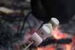 Marshmallow skewers for grilling.