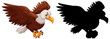 Set of eagle characters and its silhouette on white background