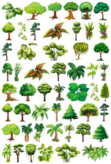 Wall Mural - set of variety plants and trees