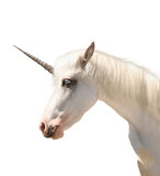 Fototapeta Konie - Amazing unicorn with beautiful mane on white background