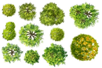 Wall Mural - collection of abstract watercolor green tree top view isolated on white background for landscape pla