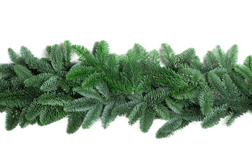 Wall Mural - Christmas border of fir tree on white