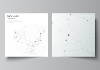 Vector layout of two square covers templates for brochure, flyer, magazine, cover design, book design, brochure cover. Gray technology background with connecting lines and dots. Network concept.