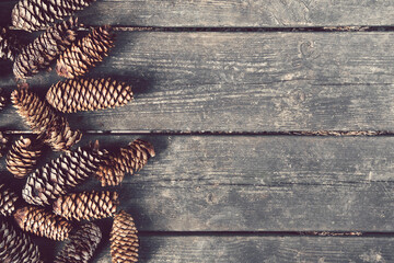 rustic natural pine cones, background image with copy space available on a wooden table
