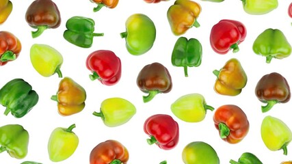 Wall Mural - Colored raw bell peppers turn around on the white background