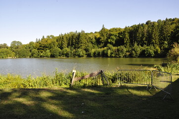 Lake in the forest - Path of the Dukes - Chemin des Ducs