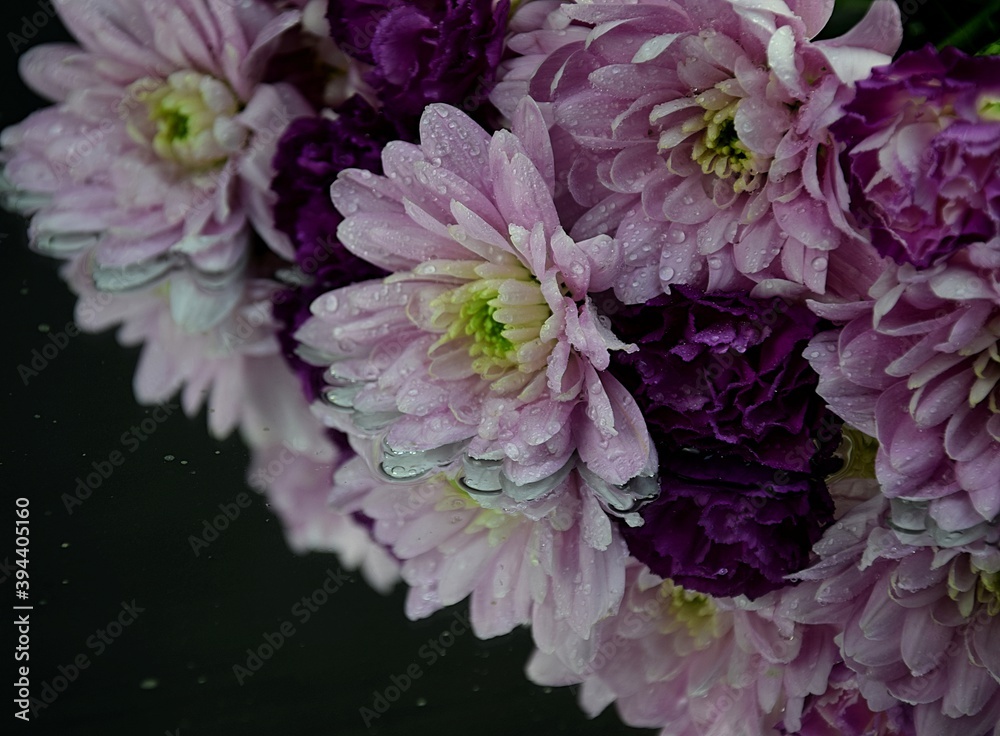Chrysanthemums and carnations pink and violet flowers and reflections on water for background chryzantemy i goździki odbicie lustrzane romantyczne i delikatne tło kwiatowe - obrazy, fototapety, plakaty 