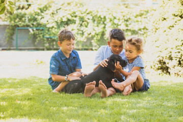 the little children take care of their favorite labrador puppy