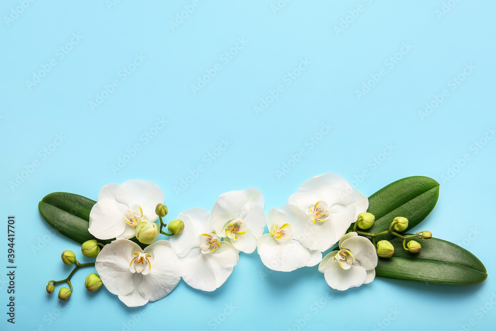 Beautiful orchid flowers and leaves on color background