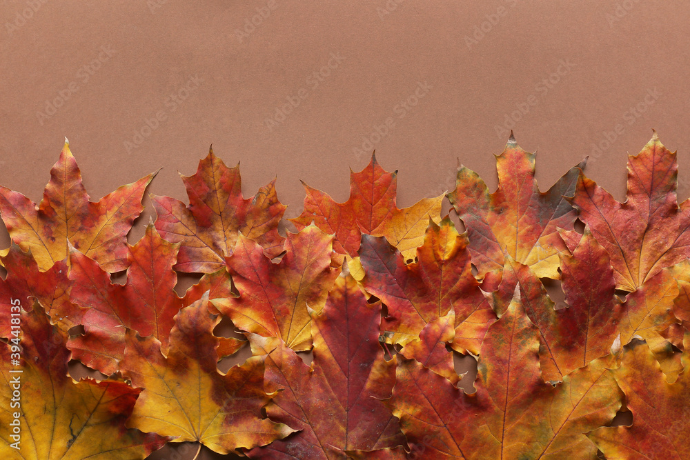 Bright autumn leaves on color background