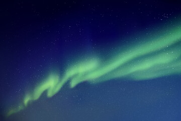 Sticker - night starry sky and northern lights. green aurora borealis
