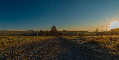 Trees and path with sunrise near Rozmberk nad Vltavou village