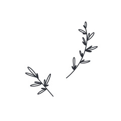 Kawaii winter spruce twigs freehand drawn. Doodle digital art outline. Wrapping paper print, banner, postcard, web, coloring page, postcard, banner, mail, brush