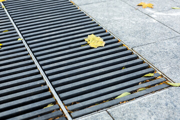 Wall Mural - grating of the drainage storm system on the pedestrian park.sidewalk made of gray stone granite tiles and an iron storm cover with autumn yellow leaves on the floor, nobody.