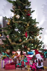 Wall Mural - Gifts on the floor under the Christmas tree.