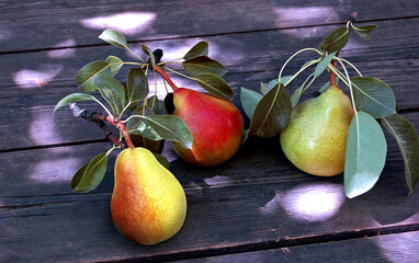 Three juicy pears on a wooden table