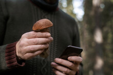 Hands Holding Mushroom And Cell Phone, Sweden