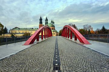 Wall Mural - The steel structure of the bridge and the towers of the Gothic Catholic cathedral