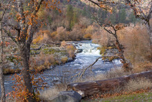 Beautiful View At Spectacular Ti'lomikh Falls In Late Autumn. Location Is Rogue River In Gold Hills, Oregon