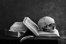 Close-up Of Skull On Book