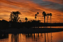 Silhouette Palm Trees By Lake Against Sky During Sunset