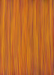 Orange background - regular fine lines, graphic texture. 