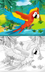 Wall Mural - cartoon scene with wild animal parrot bird in nature - illustration