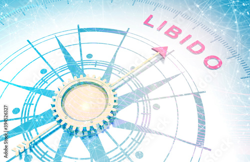 Cuadros en Lienzo Abstract compass points to the libido word. 3D rendering