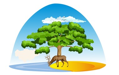 Wall Mural - One deer drink water under tree, isolated on white, vector illustration