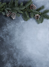 Winter Background In Gray And Blue Tones With A Fluffy Spruce Branch And Cones. New Year's Background. The Vertical Frame. Copy Space.