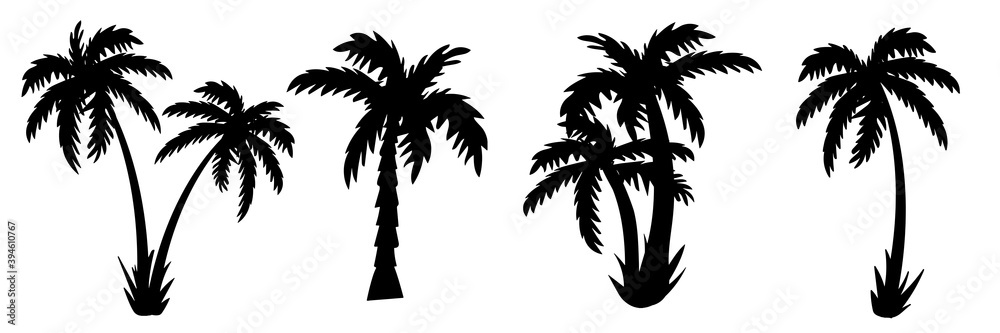 palm tree Silhouettes of palm trees. vector - obrazy, fototapety, plakaty 