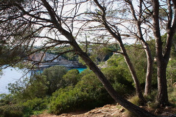 Island scenery, beach, beautiful bay seaside, Balearic Islands, Mallorca, Spain, Mediterranean Sea.