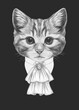 Portrait of Aristocrat Kitten. Hand-drawn illustration.