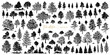 Trees sketch set. Hand drawn graphic forest. Vector illustration of different trees, shrubs and grass isolated on white background