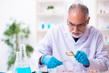 Old male chemist working in the lab